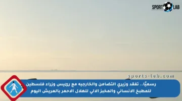 رسميًا.. تفقد وزيري التضامن والخارجية مع رئيس وزراء فلسطين للمطبخ الإنساني والمخبز الآلي للهلال الأحمر بالعريش اليوم